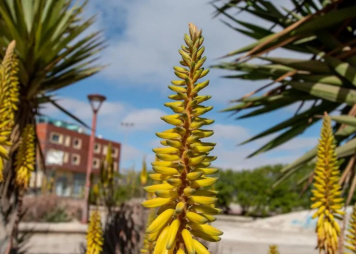 아파트 Le Poulpe Bleu Fuerteventura Chic And Relax