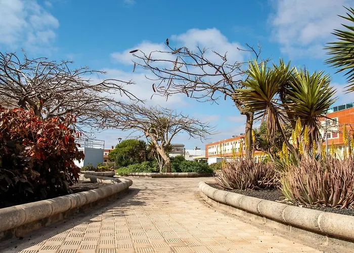 Le Poulpe Bleu Fuerteventura Chic And Relax 아파트 *