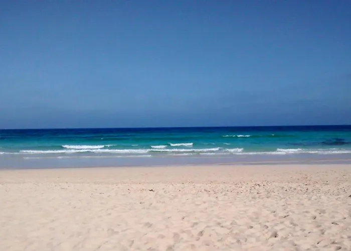Le Poulpe Bleu Fuerteventura Chic And Relax 푸에르토델로사리오