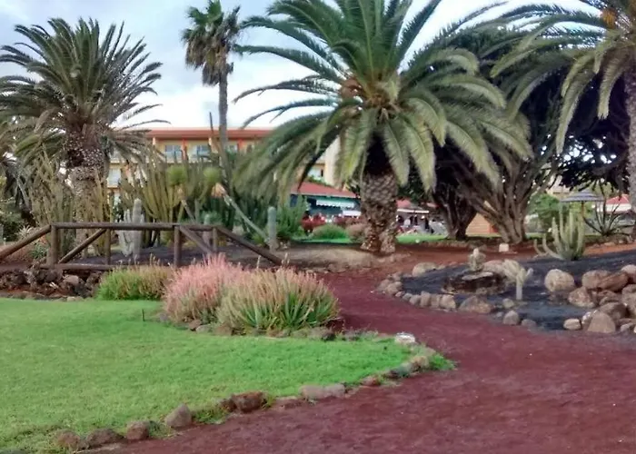 Le Poulpe Bleu Fuerteventura Chic And Relax 아파트 푸에르토델로사리오