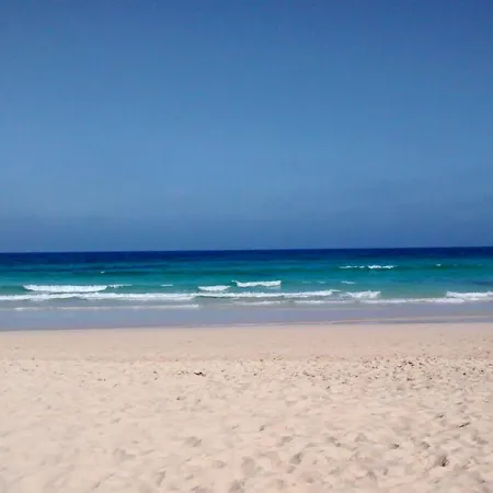 Le Poulpe Bleu Fuerteventura Chic And Relax 푸에르토델로사리오