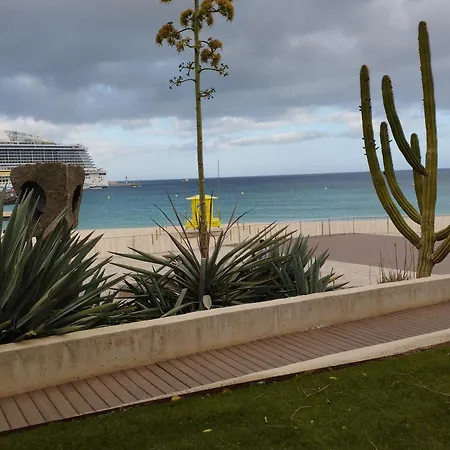 Le Poulpe Bleu Fuerteventura Chic And Relax 아파트 푸에르토델로사리오